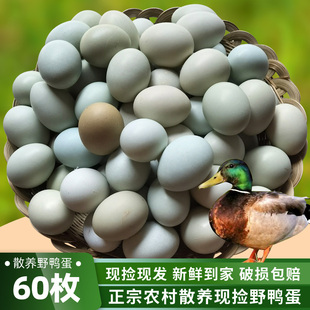 绿头野鸭蛋60枚一箱40枚新鲜农家散养土鸭蛋20枚生鸭蛋鲜鸭蛋整箱