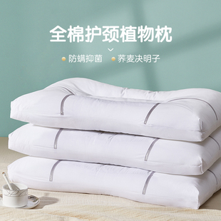 博洋家纺决明子枕头成人枕芯一对装颈椎枕单人学生宿舍枕草本枕心