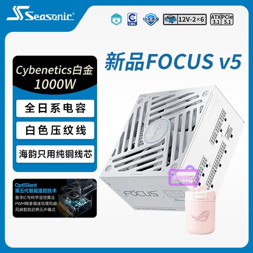 海韵GX1000V5电源限时送