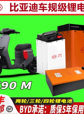 比亚迪车60V72V适用于九号F90 M 远行者电动车电池磷酸铁锂电池