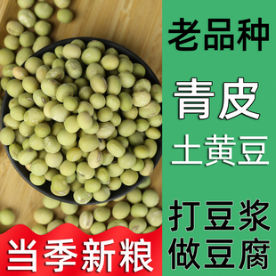 包邮 农家自种青皮大黄豆老品种青大豆青皮黄豆 新粮 当季