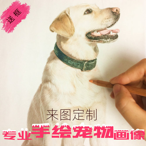 画狗猫宠物手绘素描画像