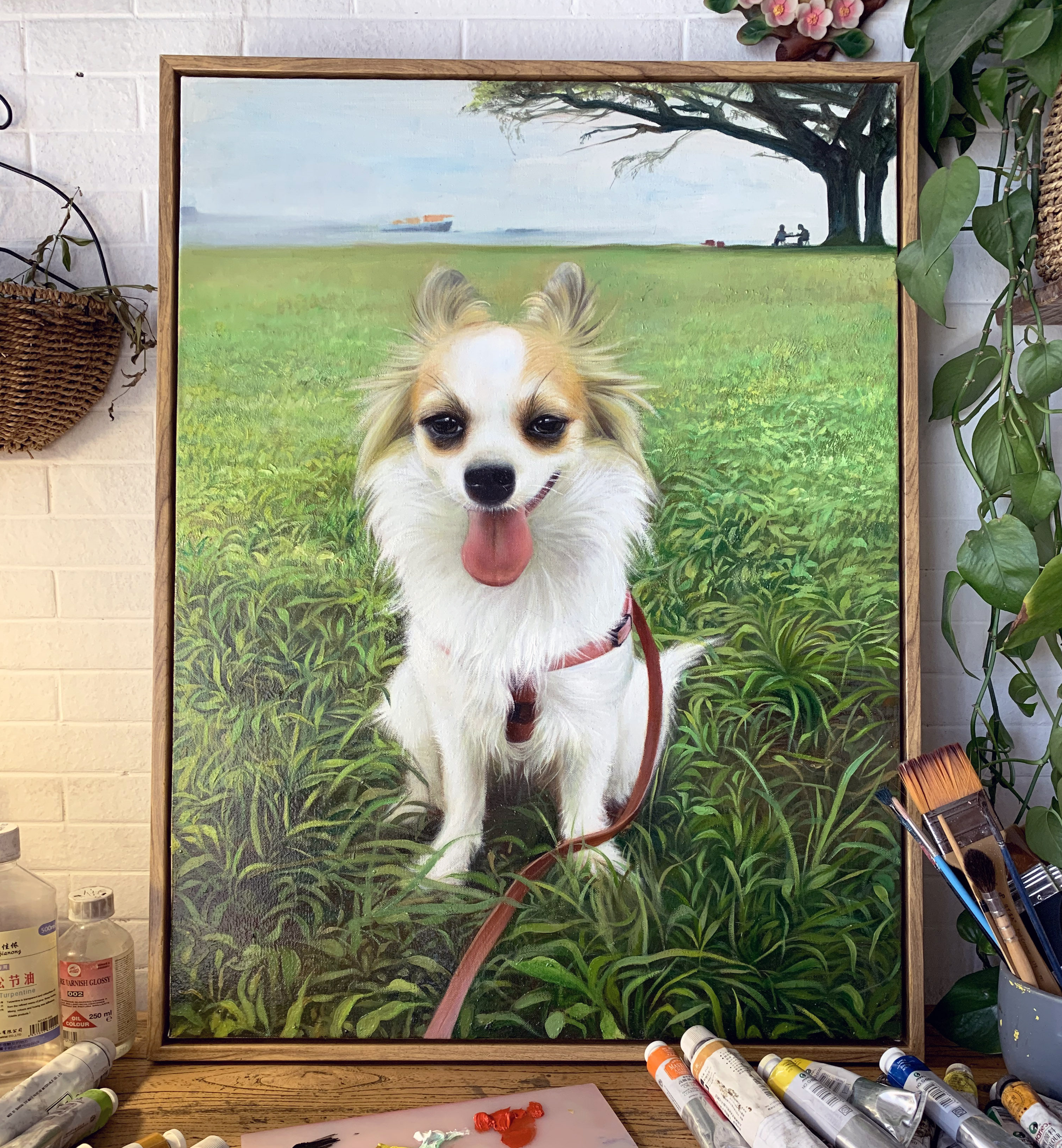 画定制手绘油画人物狗猫手绘素描彩铅马鹦鹉猪兔子鱼宠物肖像画像