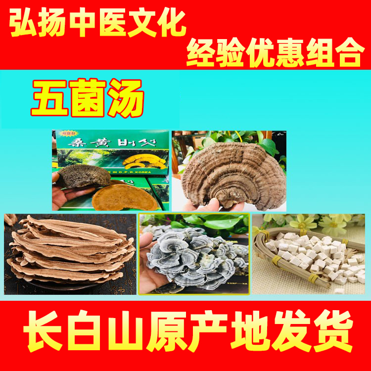 长白山野生桑黄平盖灵芝黄云芝赤灵芝茯苓非other/其他五菌汤方