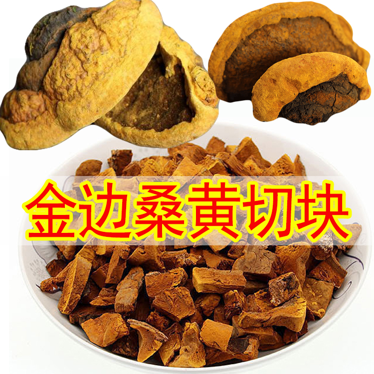 桑黄野生500g正宗长白山金边桑黄非西藏桑黄茶正品桑黄野生