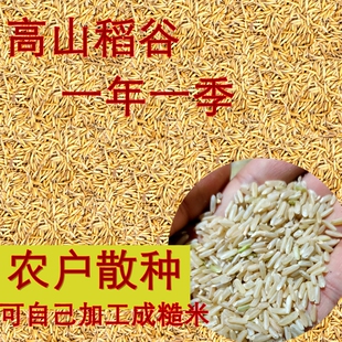 恩施稻谷糙米大米原材料农家粗加工脱壳米米胚芽农家自种土货