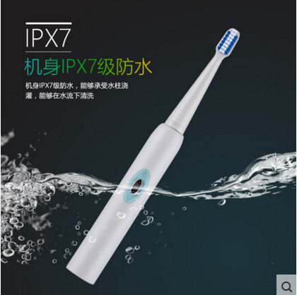 震动德国铂瑞TB08成人情侣感应充电刷牙器防水声波电动牙刷头包邮