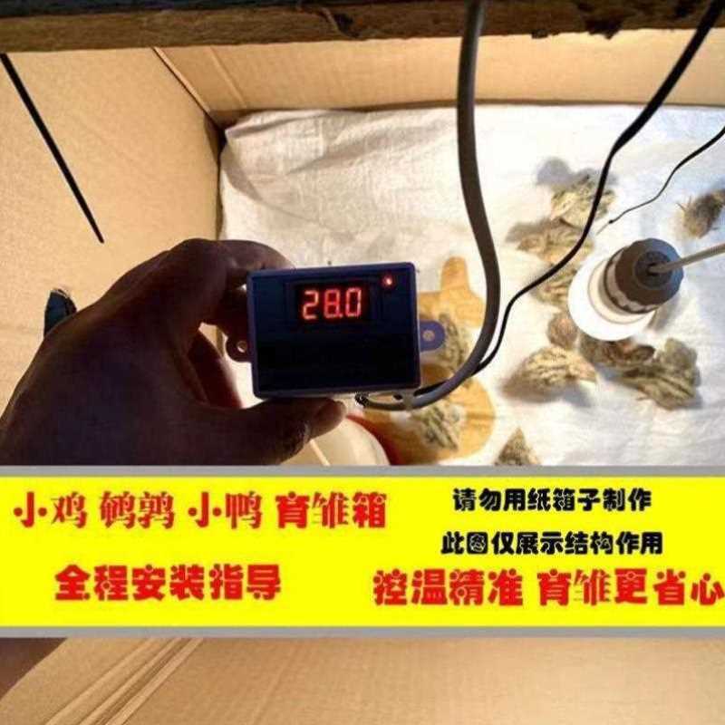 芦丁鸡保温灯小鸡保温箱自动控温鹌鹑保温箱小鸟宠物育雏保温自动