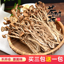 茶树菇干货200g特级不开伞农家小蘑菇茶树姑茹营养菌菇菌类干茶菇