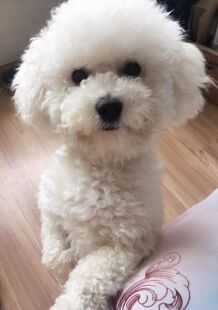 运费一元 补差价一元