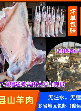 单县山羊肉新鲜羊肉羊腿羊排
