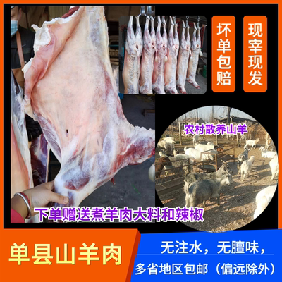 单县山羊肉新鲜羊肉羊腿羊排