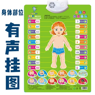 早教贴纸 墙贴小学生小孩学字识字1-3岁数字乘法表称呼挂图字母表