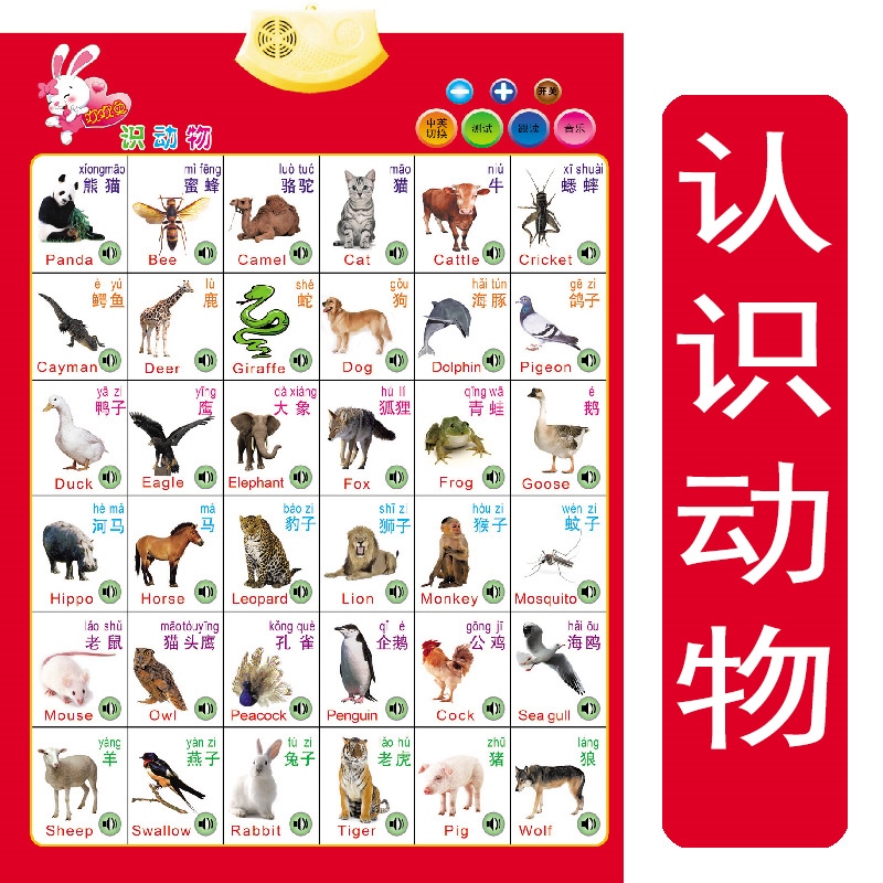 海报画挂画凹凸宝宝学说话挂图字母拼音表动物拼音全套0到3岁宝宝