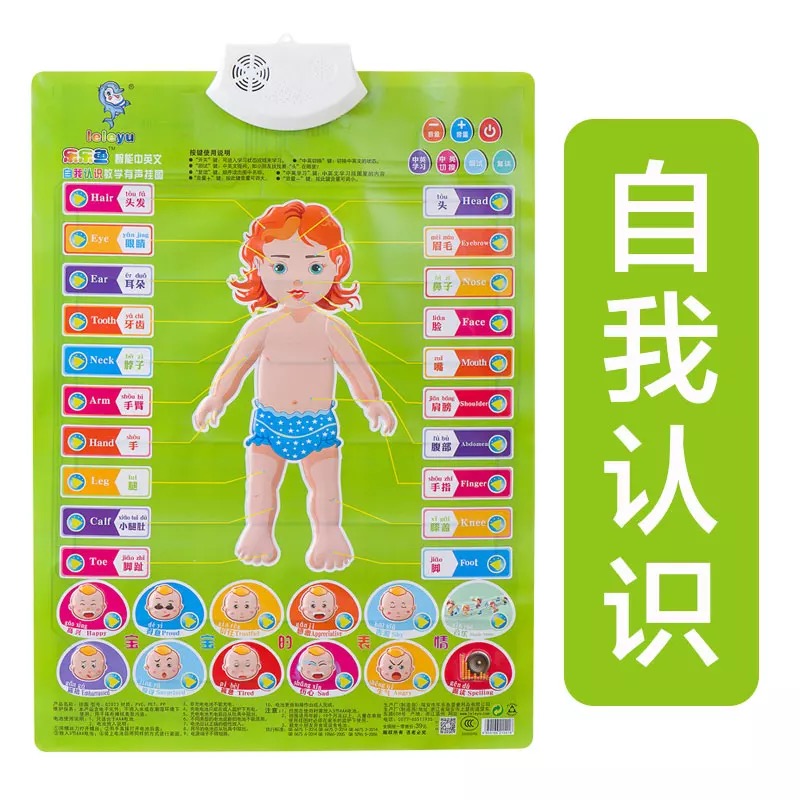 有声读物有声挂图早教发声儿童5-6岁识字婴儿26个拼音字母表挂图