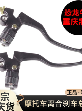 适用豪爵骊爽DA/HJ125-19/20HJ150-7摩托车左离合器手把镜座手柄