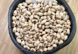 蒲葵籽佛眼可做手串手链散珠可代打孔天然树籽磨圆珠原料配饰木质
