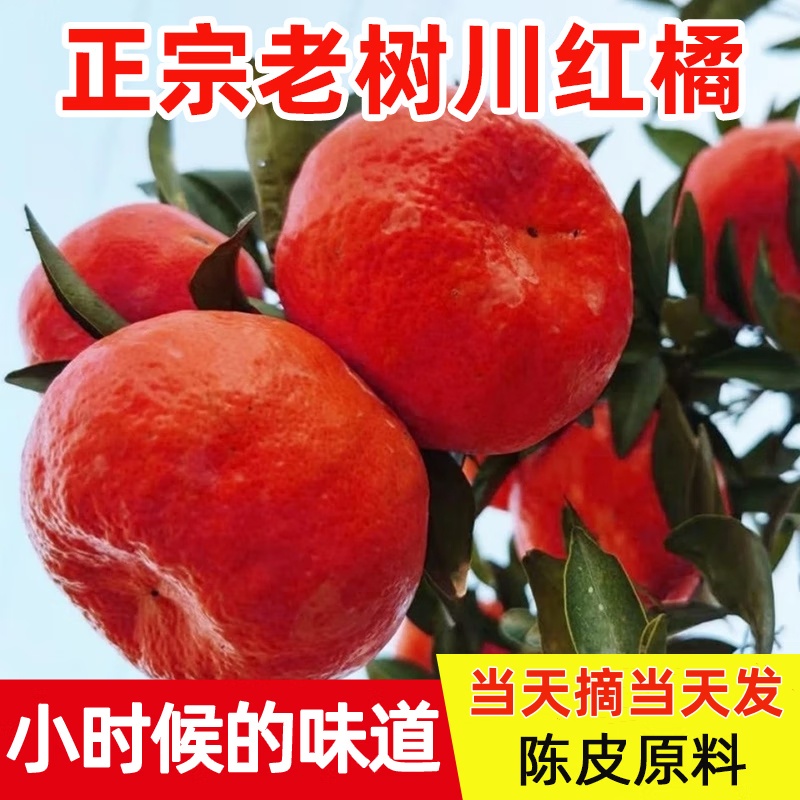 正宗四川大红袍新鲜陈皮原料重庆