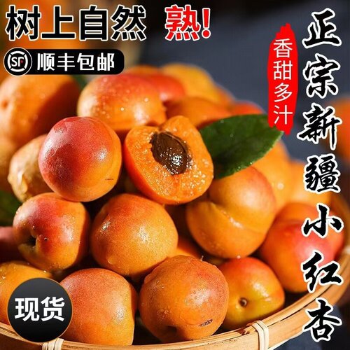 顺丰新疆小红杏吊干杏库车大黄杏甜杏新鲜5斤应季孕妇水果小白杏Z
