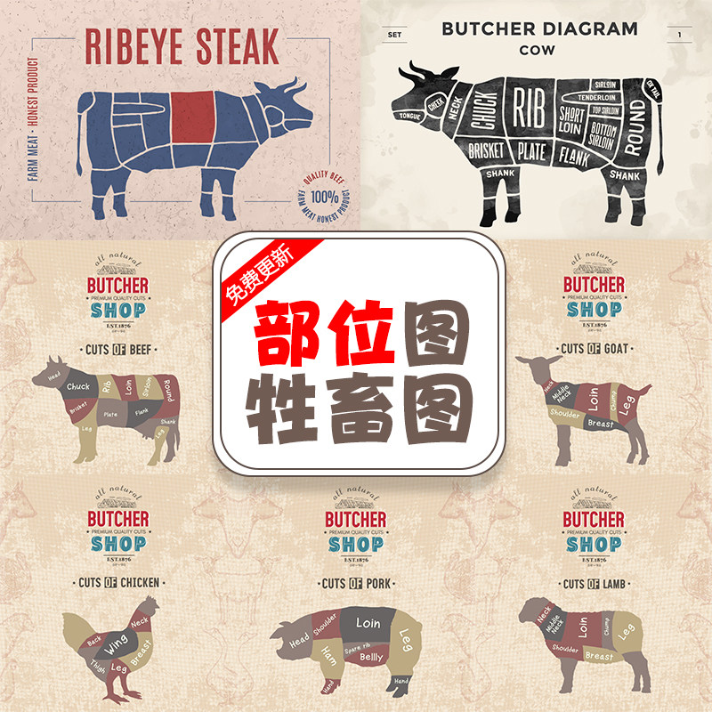 牛肉火锅店铺店名装饰猪牛羊鸡鸭解剖图菜单设计矢量AI素材