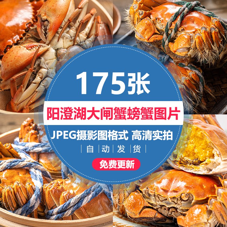 大闸蟹螃蟹香辣蟹清蒸蟹高清图片大排档美团外卖图片海报宣传素材
