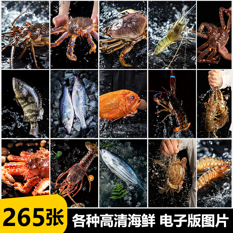 海鲜海产高清图帝王蟹大龙虾小青龙鱼类图片深海海报高清设计图片