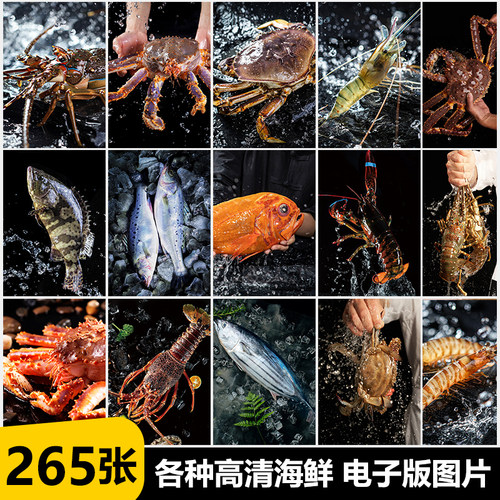 海鲜海产高清图帝王蟹大龙虾小青龙鱼类图片深海海报高清设计图片