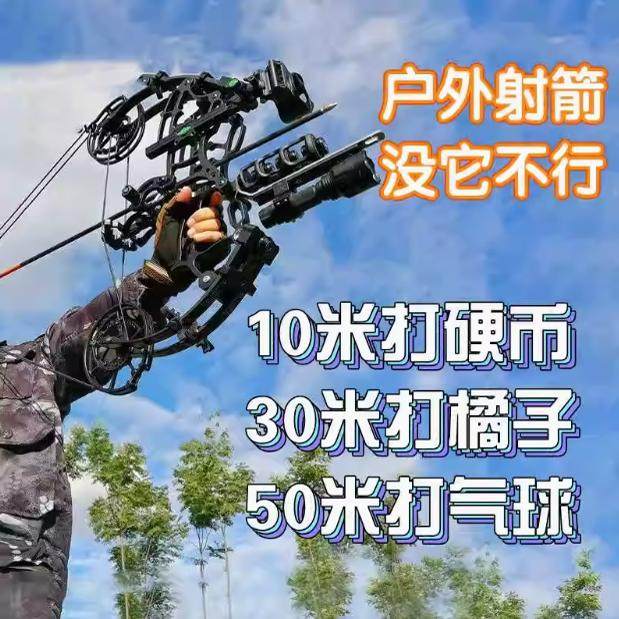 恶棍复合式弓两用钢珠弓箭户外成人狩猎小型便携高精度滑轮弓射箭