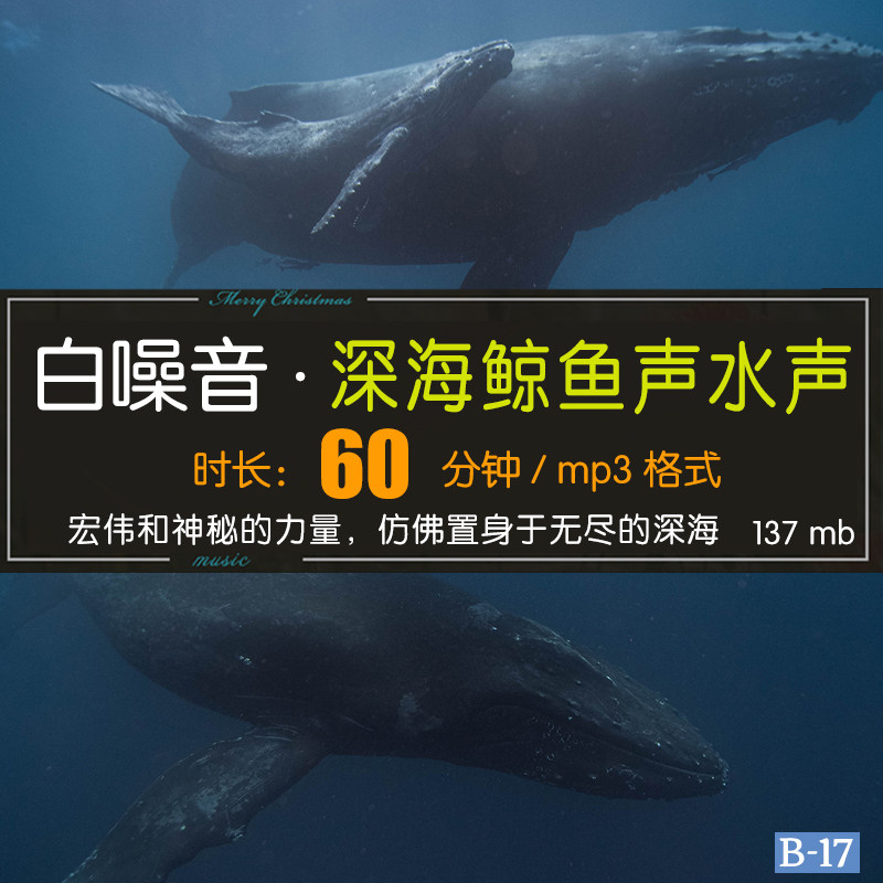 60分钟深海白噪音鲸鱼叫声水下声音助眠放松冥想背景音乐MP3下载