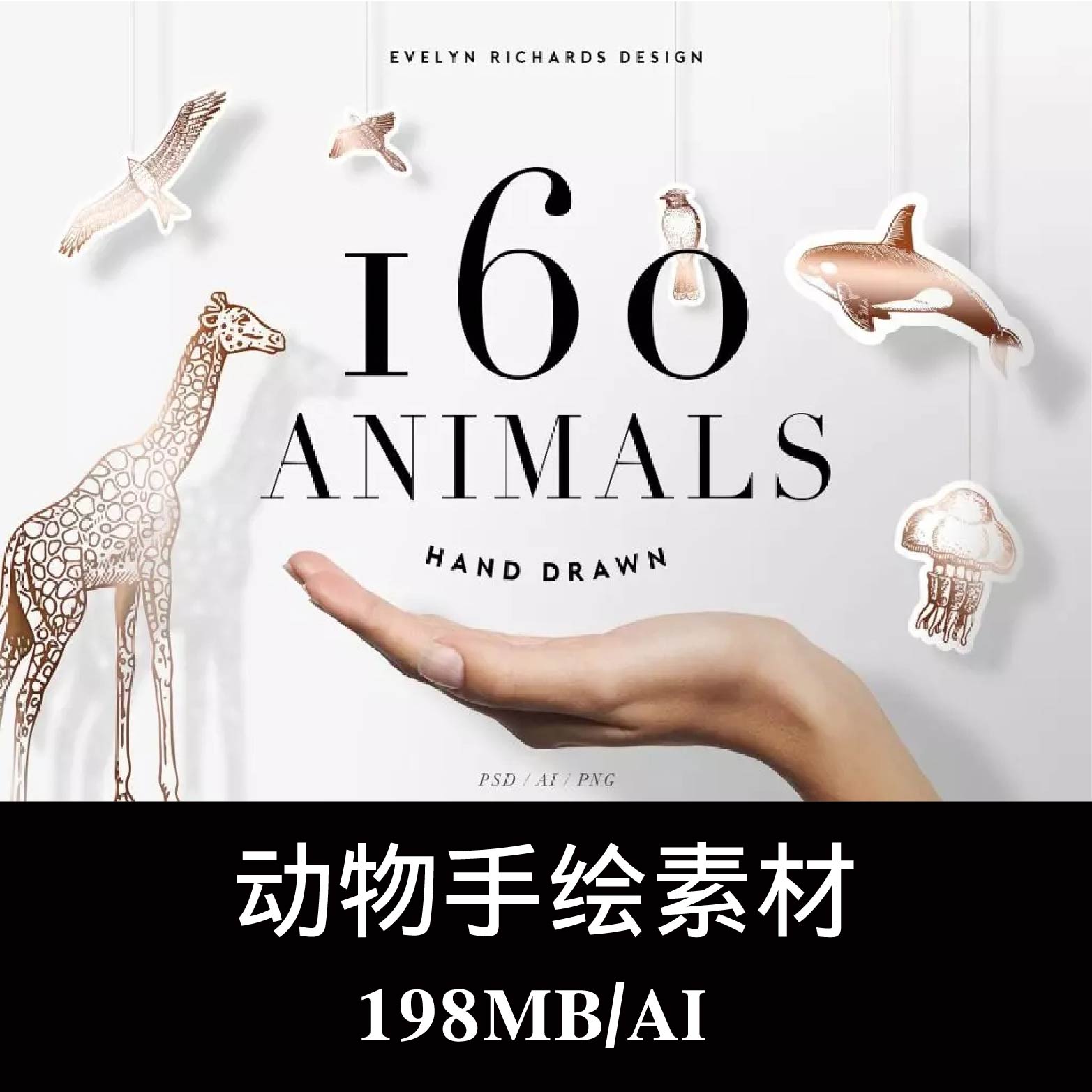 160款多用途手绘动物图案矢量素材海洋生物家禽昆虫 AI PSD PNG