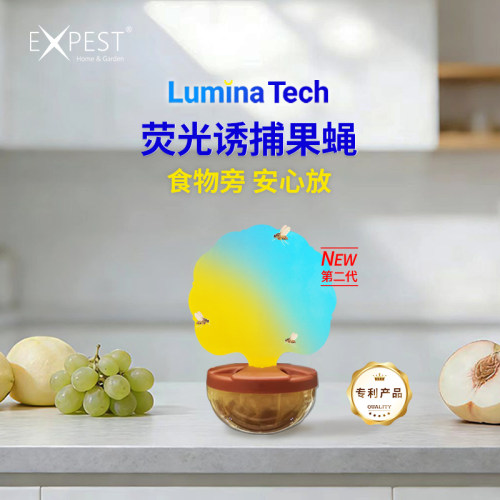 expest二代果蝇盒抓果蝇