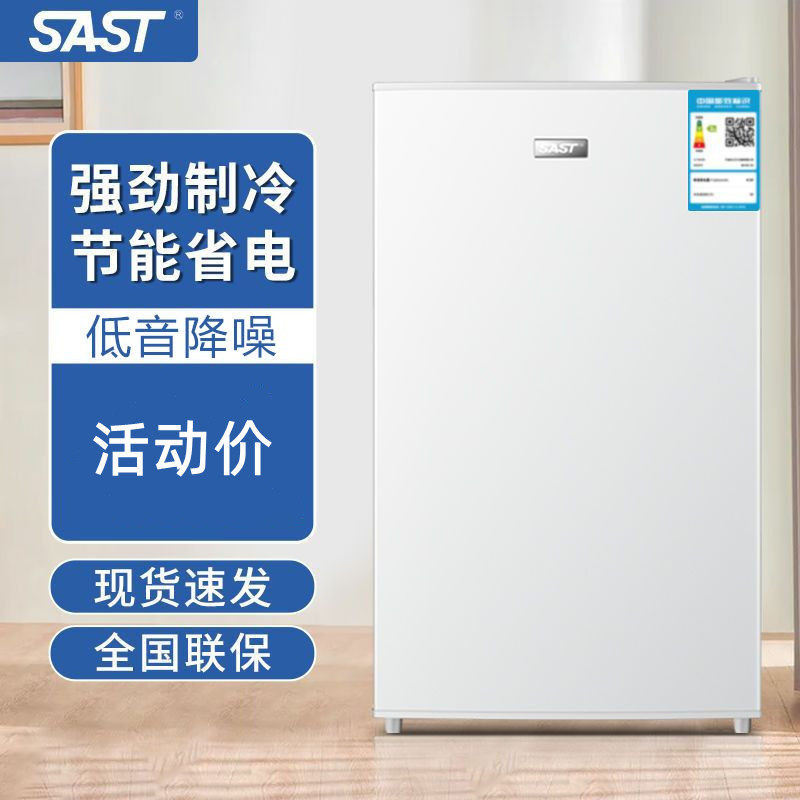 SAST立式冰柜侧开冰柜小型侧开门冷冻柜冷冻冷藏车载冰箱储奶冷柜