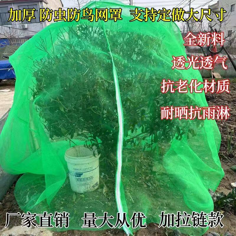 绿色防虫网杨梅莲雾蓝莓果树防鸟用网樱桃蚊帐型家用抗老化