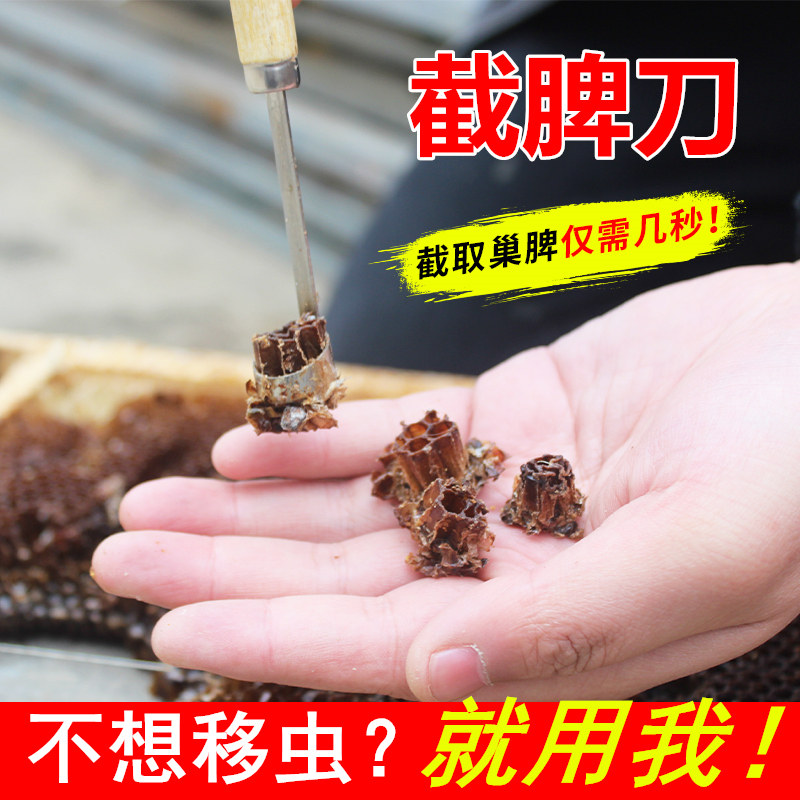 截脾刀蜜蜂育王工具中蜂免移虫育王器挖脾刀人工育王幼虫割脾工具