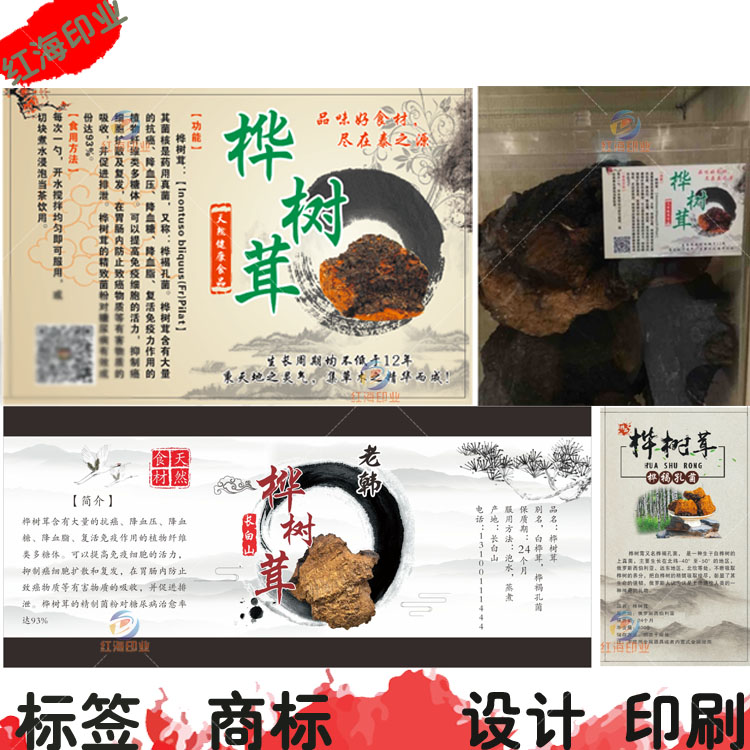 定制桦树茸不干胶标签桦褐孔菌商标瓶贴桦树茶桦树汁包装设计印刷