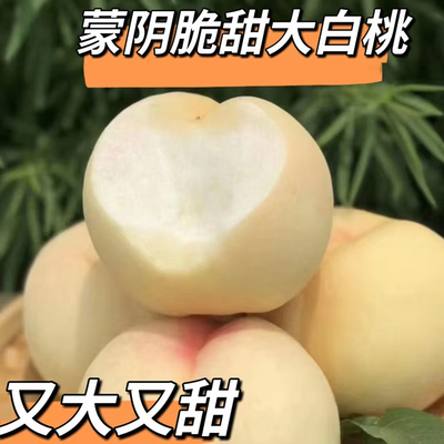 蒙阴大白桃嘎嘣脆！甜