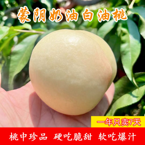 蜜玉奶油白油桃正宗山东蒙阴蜜桃
