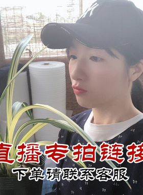 翁源兰花苗【直播专拍】墨兰蕙兰春兰四季建兰大花蕙兰浓香好养型