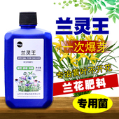兰灵王兰花专用肥营养液肥料促花多箭兰菌药蝴蝶兰科兰陵王活化剂