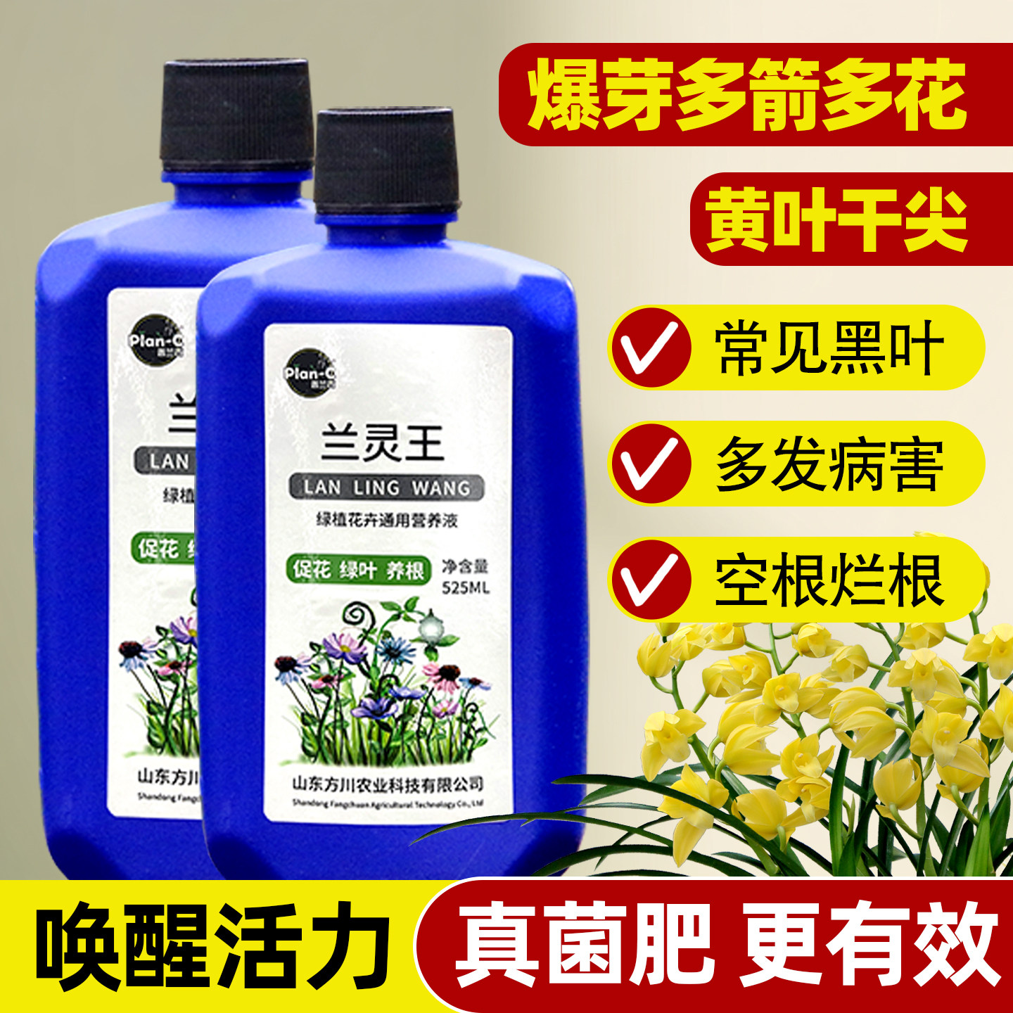 兰灵王兰花苗专用营养液肥料正品图片