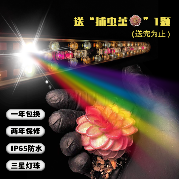 湘山植物补光灯食虫植物多肉上色热植led专用植物生长灯