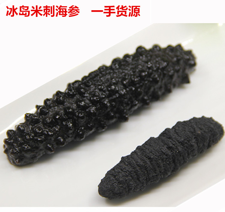 进口土耳其野生海参干货