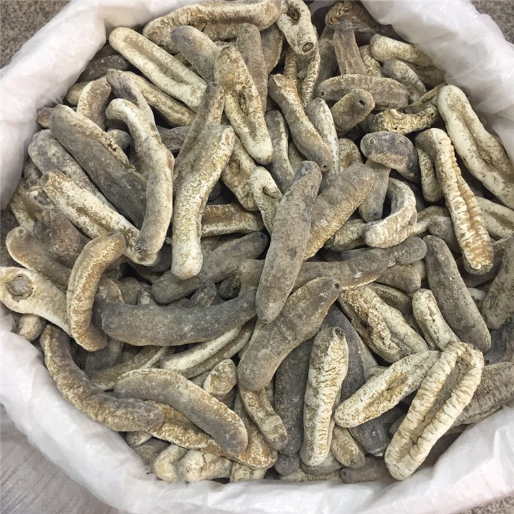 澳洲进口淡干海参500g包邮