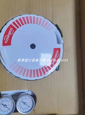 VAPSINT 2810.295.00气弹簧Flowserve 520MD+37-W1D200-000现货