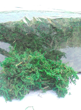 绿色苔干水草造型泡沫铺面插花