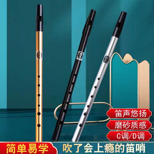 爱尔兰哨笛美度牌C调D调初学推荐乐器学生练习演奏6孔竖笛学校专