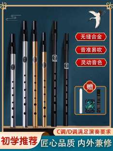 爱尔兰哨笛初学者入门演奏6孔C/D调降B/E高合音专业金属直竖笛子