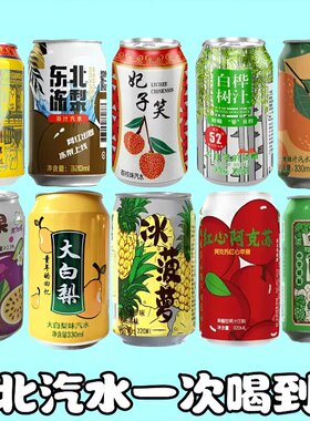 葡萄菠萝荔枝冻梨味苹果醋桔子橙子白桦树大白梨百香果味汽水饮料