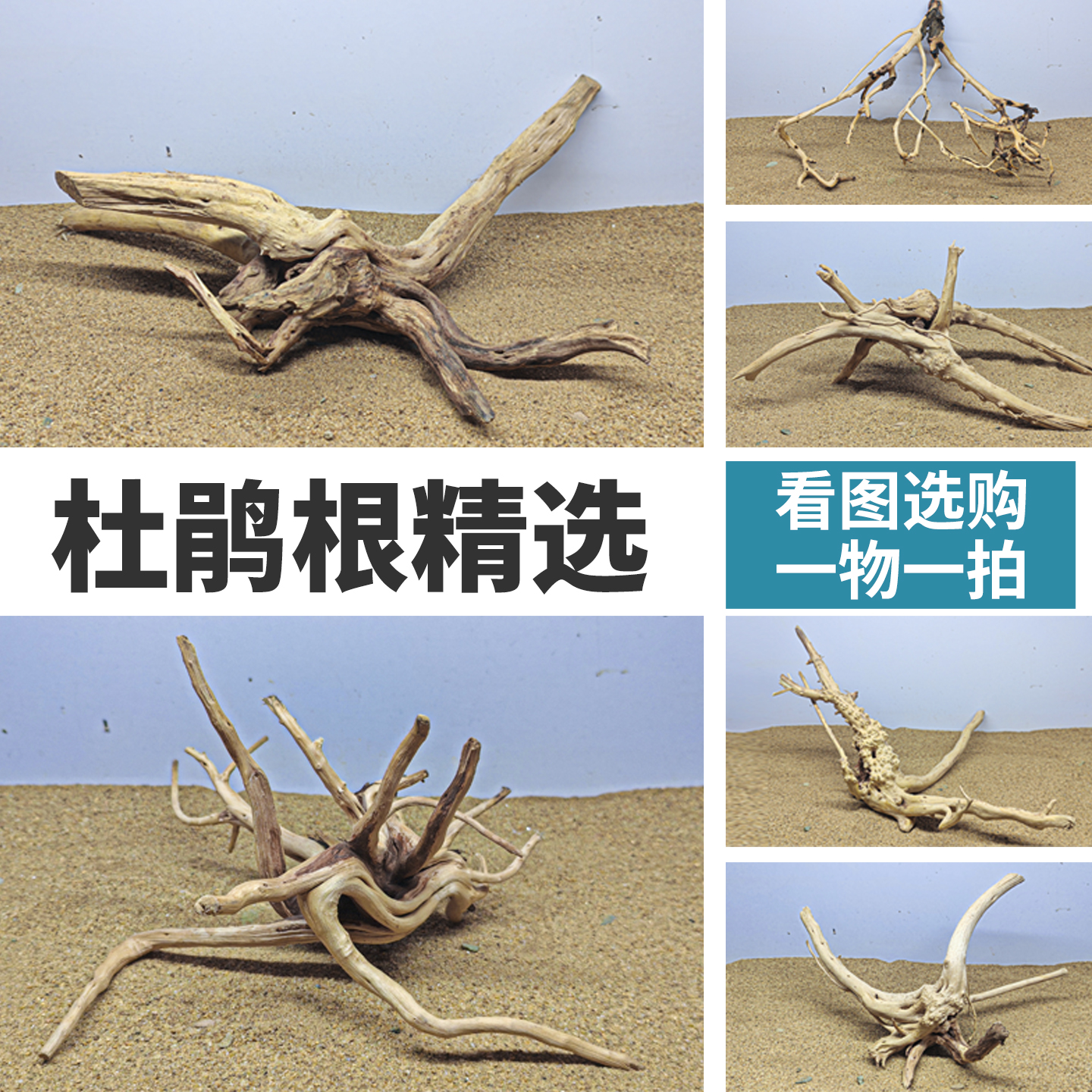 精品杜鹃根树桩鱼缸造景木头