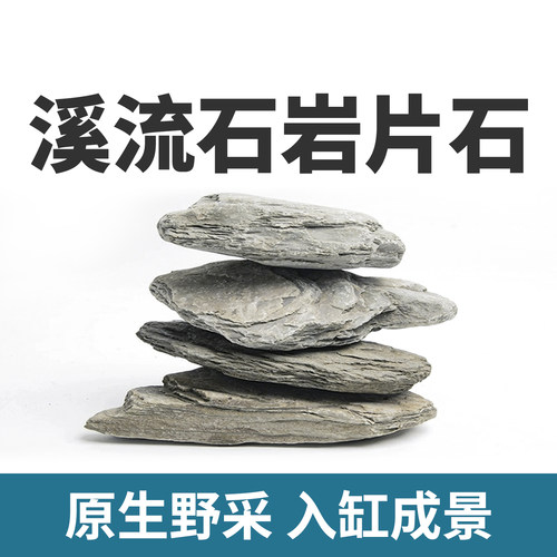 原生溪流石乌龟生态缸鱼缸造景